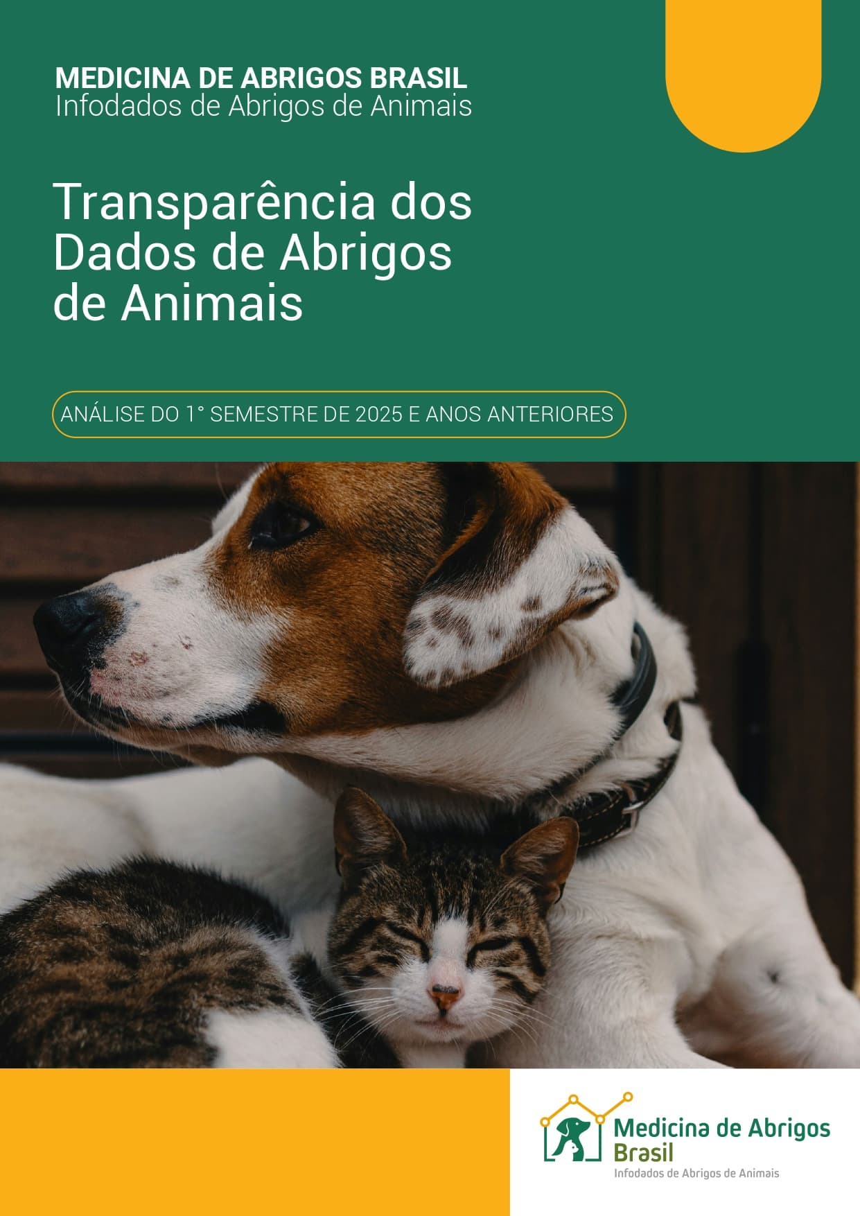 Resultados Parciais 2025